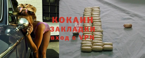 молекула духа Арсеньев
