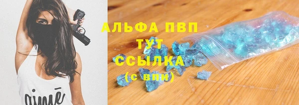 молекула духа Арсеньев