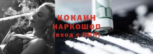 молекула духа Арсеньев