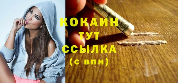 молекула духа Арсеньев