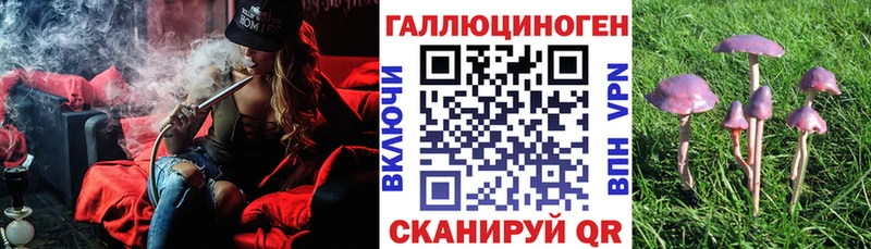 закладки  Зеленокумск  Галлюциногенные грибы Psilocybe 